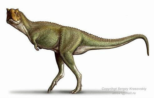 怪踝龙(其他生物相关)怪踝龙属(学名:xenotarsosaurus)是种研究有限的