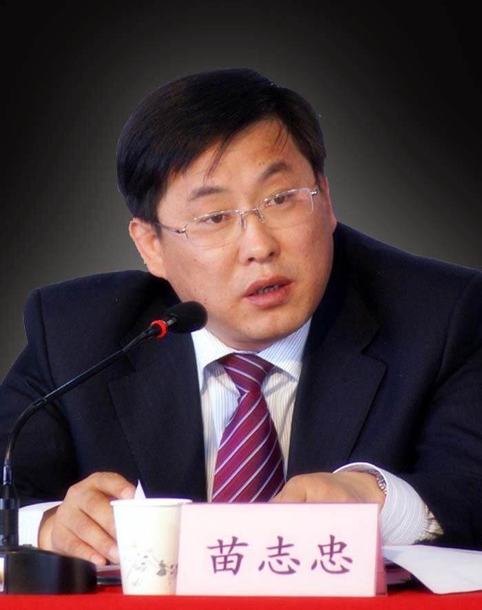 苗志忠(政治人物)