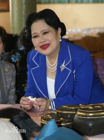 诗丽吉·吉滴耶功(政治人物)