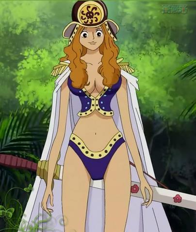 九蛇岛,国家因全是女人也称女儿岛)护国战士,是日本漫画及动画《海贼