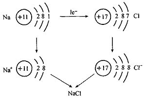 氯离子原子结构示意图图片