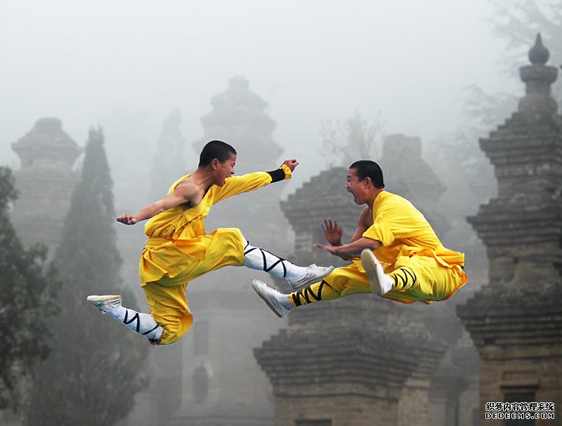 岳家教(其他实业人物相关)岳家教是一种传统拳术,源自岳家拳,民国初年