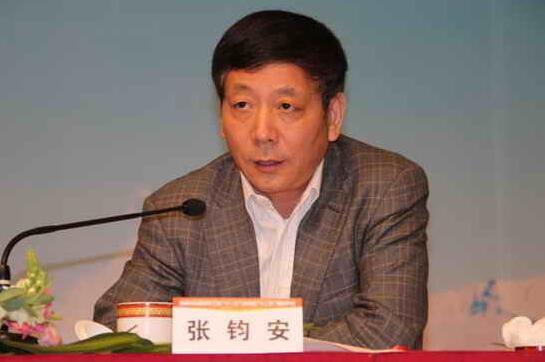 张钧安 (政治人物)