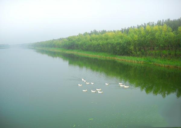 大沙河河流