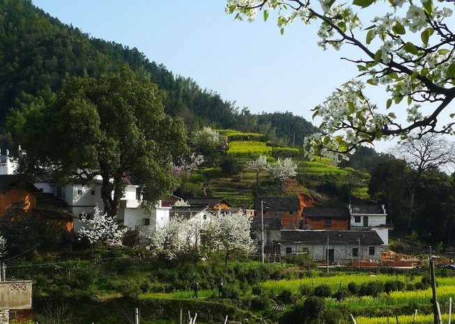 宝山镇(行政区划)宝山镇位于青岛市黄岛区西北部,胶州湾西畔,北依胶州