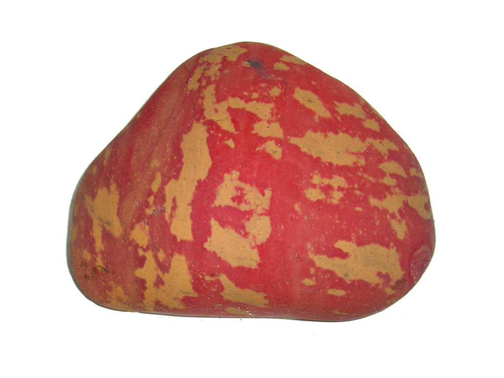 长江红非生物