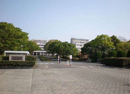 日本中部大學 (學校)