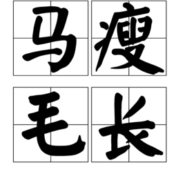 马瘦毛长成语