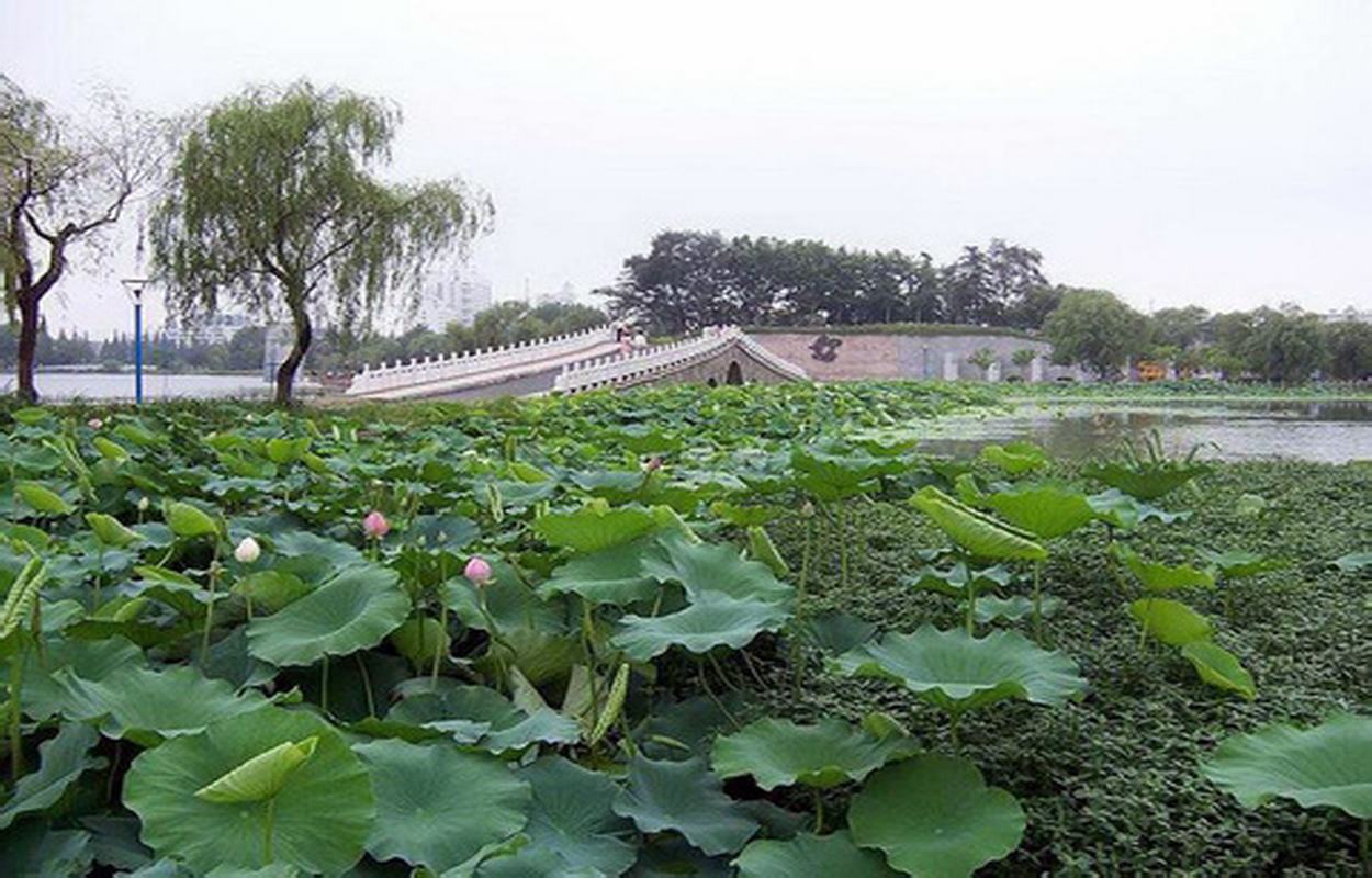 淮安楚秀园游乐场图片