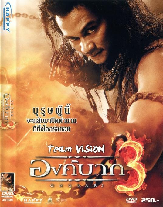 功夫拳霸3之火云盗 (电影)