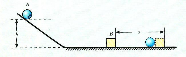 动物质动力有哪些特点