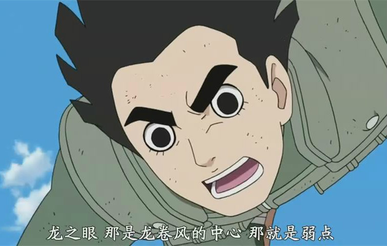 表莲华,日本漫画《火影忍者》及其衍生作品中,凯及李洛克的体术招式