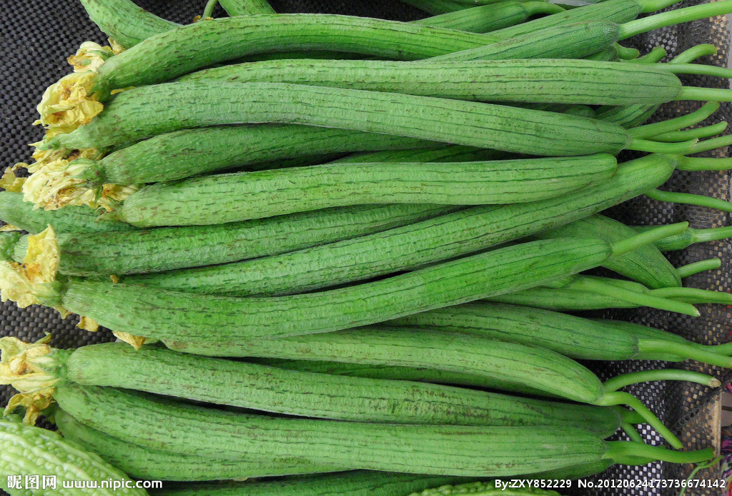 天罗瓜,天吊瓜,布瓜,天罗,绵瓜,天络瓜;天丝瓜,倒阳菜,絮瓜,喜瓜,胜瓜