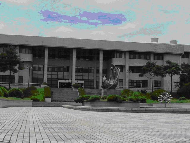 韩国顺天第一大学(学校)