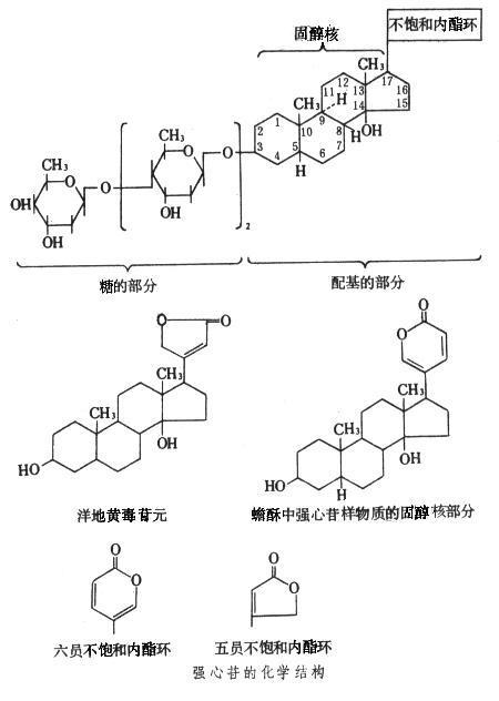 强心苷(疾病)