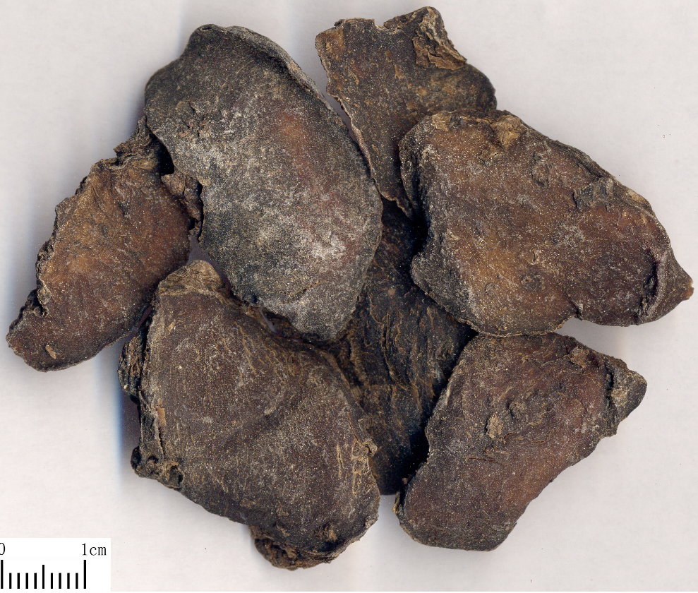 白巩(其他人物相关)