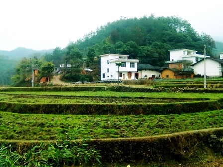 凌源村 (行政区划)