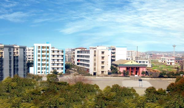 湘乡树人中学学校