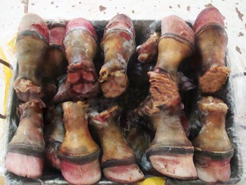 驴蹄中医学与中药学