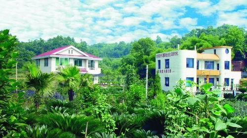 杨柳镇 (行政区划|地点)