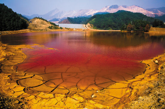 土壤污染(其他)土壤污染物大致可分为无机污染物和有机污染物两大类.