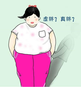 虚胖 (词汇)