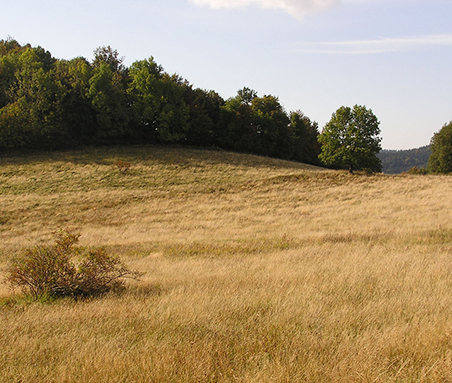 《红楼梦》中有大荒山无稽崖之说,那也只是为了增加小说的神秘,传奇