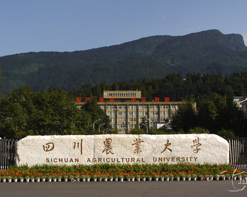 四川农业大学吧学校