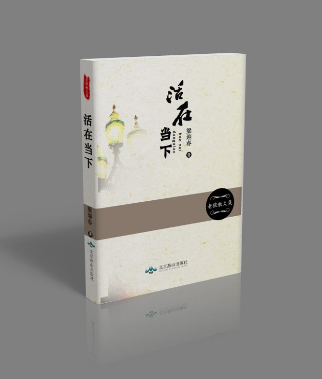 活在当下 (图书)