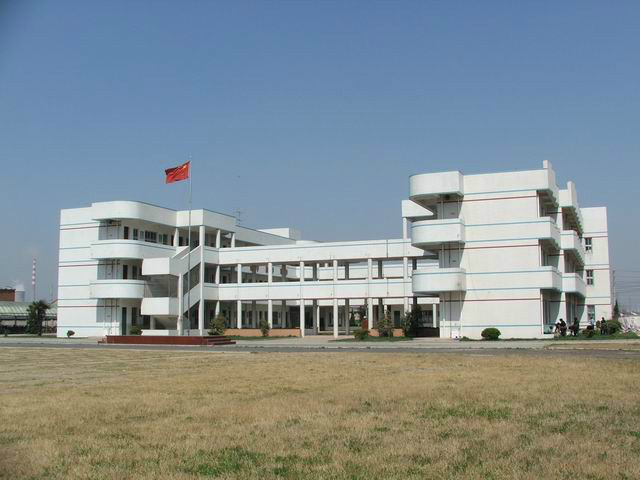 新星小學(學校)