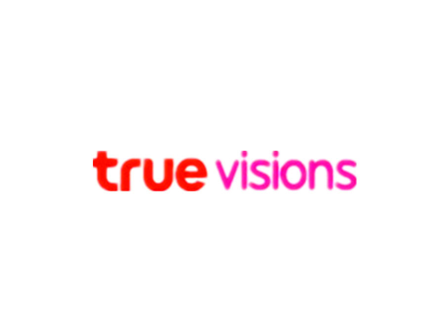 true visions(公司)