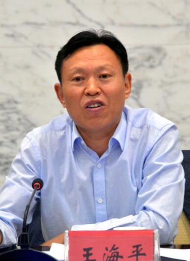 王海平政治人物