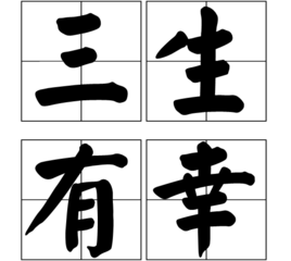 三生有幸(成語)三生有幸是一個漢語成語,拼音是sān shēng yǒu