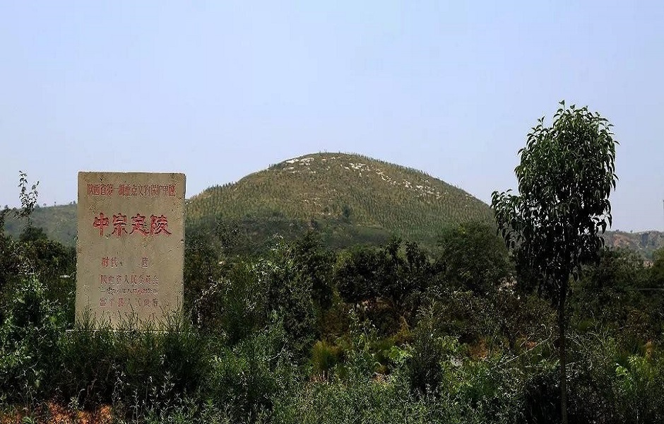 唐定陵(其他人物相关)唐定陵位于富平县北十二公里的宫里镇三凤村北的