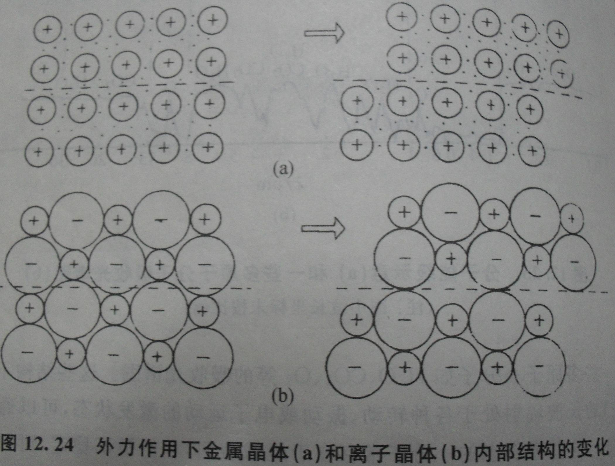 延展性 (非生物)