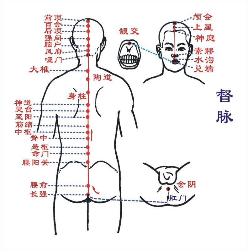 人体脉络图任督二脉图片