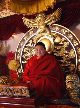 至尊空行母门措上师出生于四川省甘孜州色达县洛若一个叫琼效的地方.