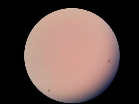 好氧菌(其他生物相关)_技点科普_技点网(其他生物相关)