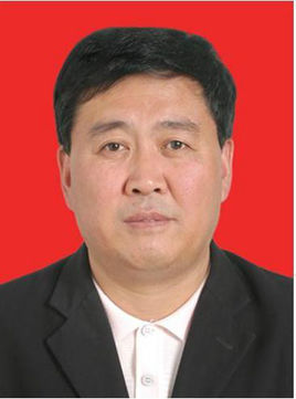 杜平政治人物