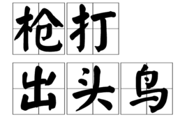 枪打出头鸟 (成语)