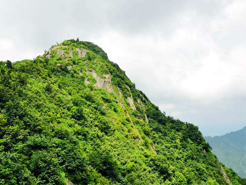 九华山芙蓉峰图片