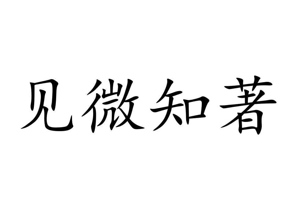 見微知著 (詞彙)