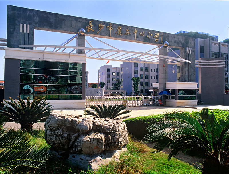 麓谷中心小学 (学校)