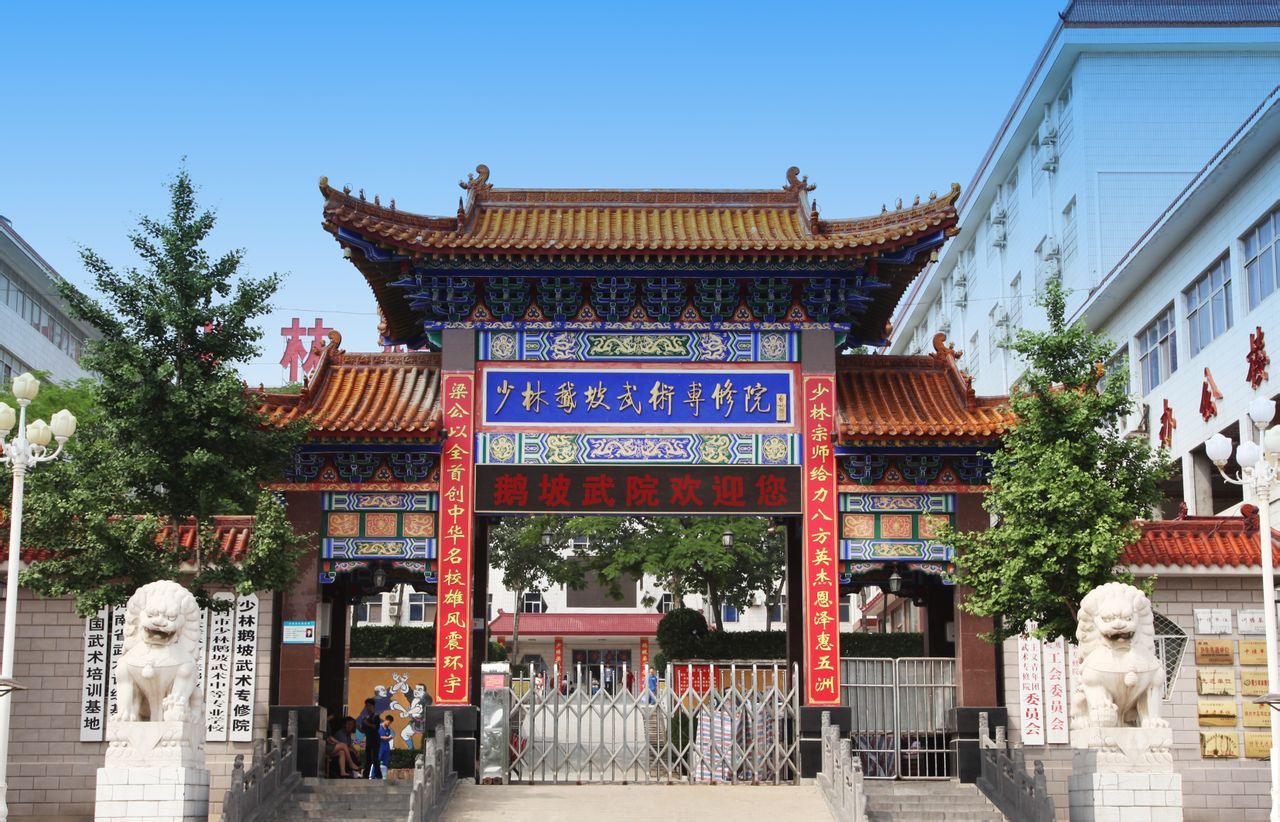 少林鹅坡武术专修院(电视剧|电影)