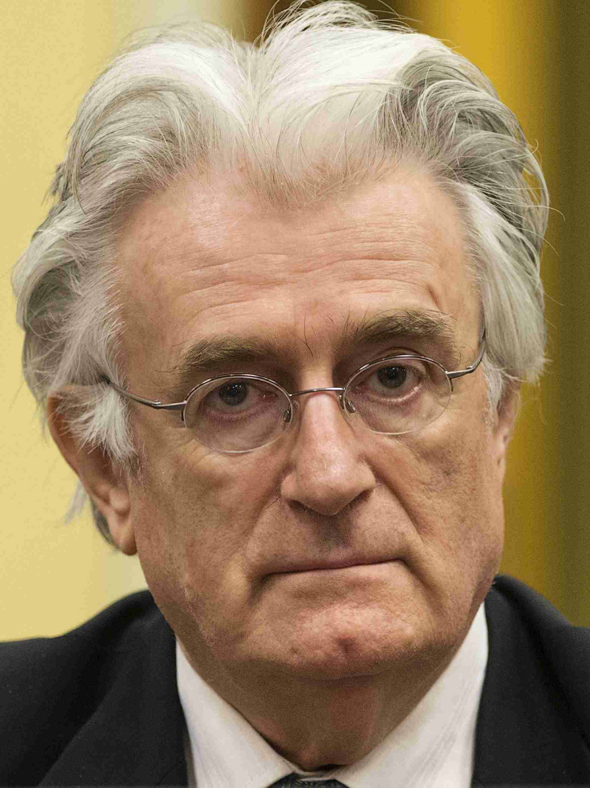 拉多万·卡拉季奇 (文化人物|政治人物)