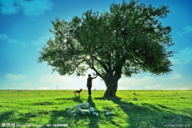 自然界中的 荫庇 就如大树遮挡住烈日,为树下的动植物遮风挡雨,而人类