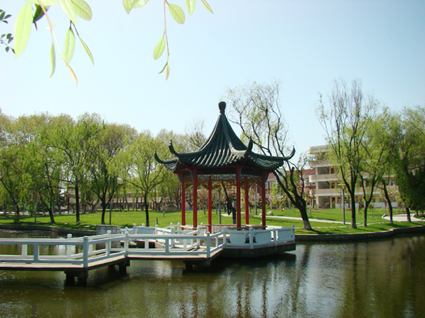 盐城市龙冈中学