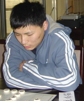 陆伟韬(体育人物)陆伟韬,1988年出生,河北正定人,象棋大师.