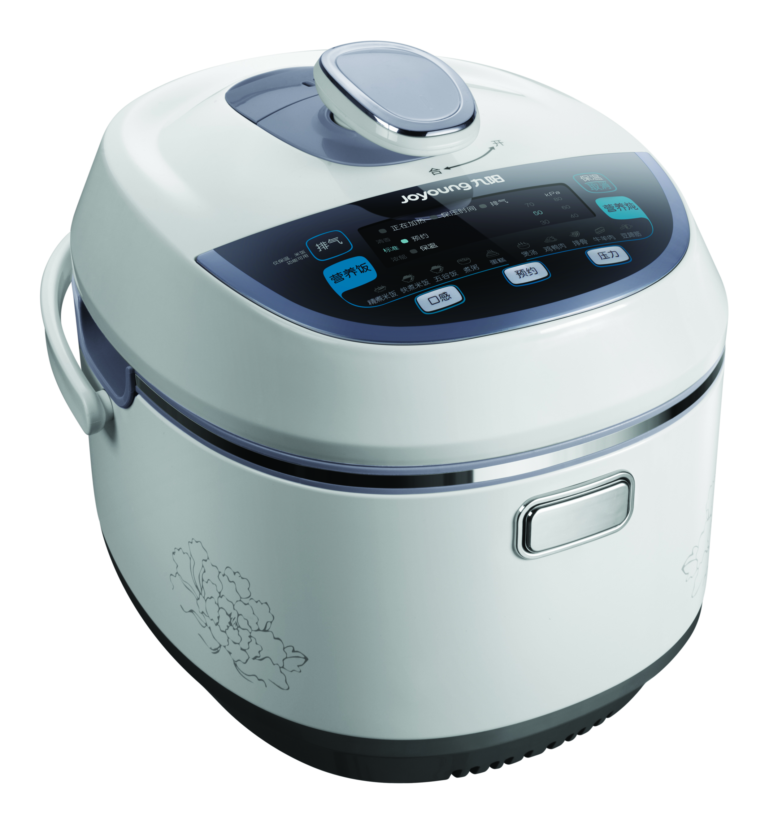 九阳沸腾压力煲其他饮食相关