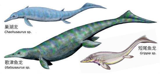 龟山巢湖鱼龙动物